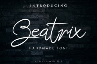 Beatrix Script: A Natural Handwritten Typeface Review