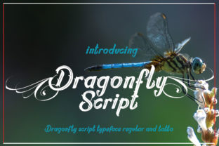 Dragonfly Script: A Handwritten Font for Clear Campaigns
