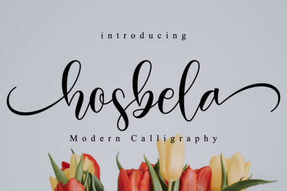 Hosbela Script: A Premium Font for Makers