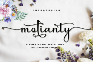 Molianty Script: A Designer’s Real-World Review