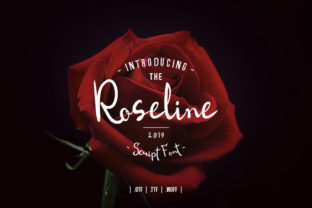 Roseline Script: A Handwritten Font for Modern Web Design