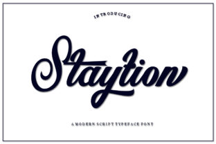 Staytion Script: A Designer’s Honest Review