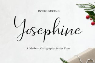 Yosephine Script: A Designer’s Review